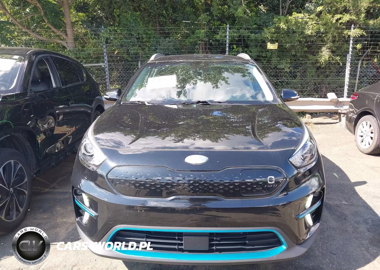 2021 Kia Niro Ev Ex VIN:KNDCC3LGXM5098493 - 6