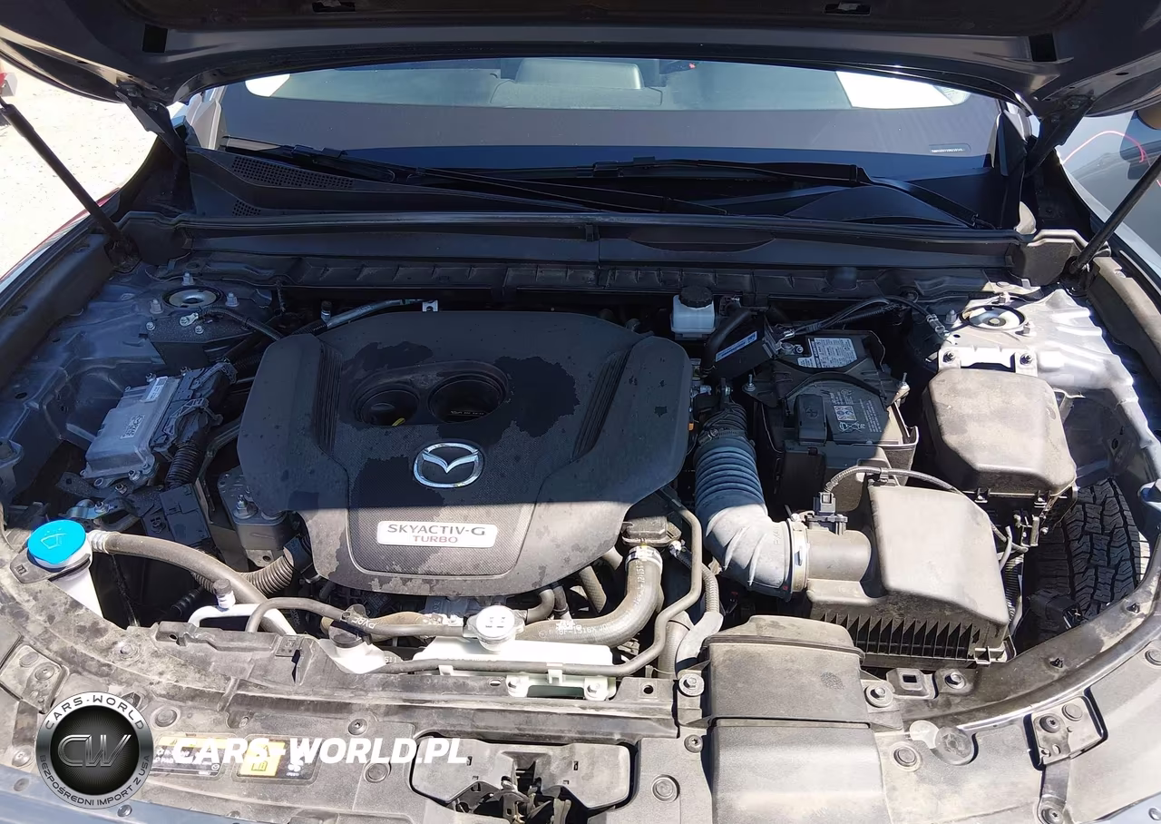 2024 Mazda Cx-50 2.5 Turbo Meridian Edition VIN:7MMVABXY5RN238145 - 10