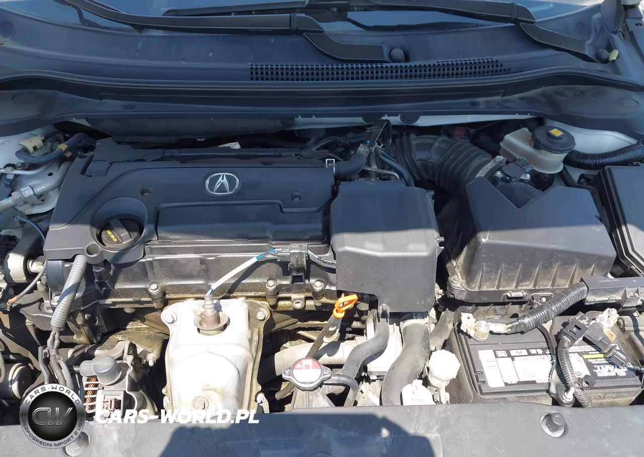 2016 Acura Ilx 2.4L-Acurawatch Plus Package VIN:19UDE2F3XGA020472 - 10