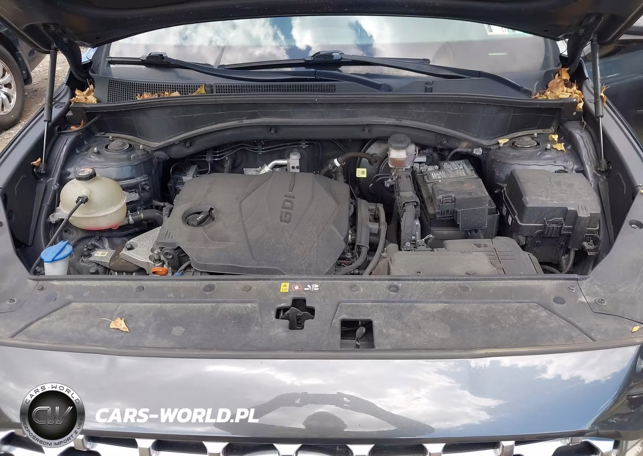 2022 Hyundai Santa Fe Sel VIN:5NMS3DAJ2NH396471 - 10