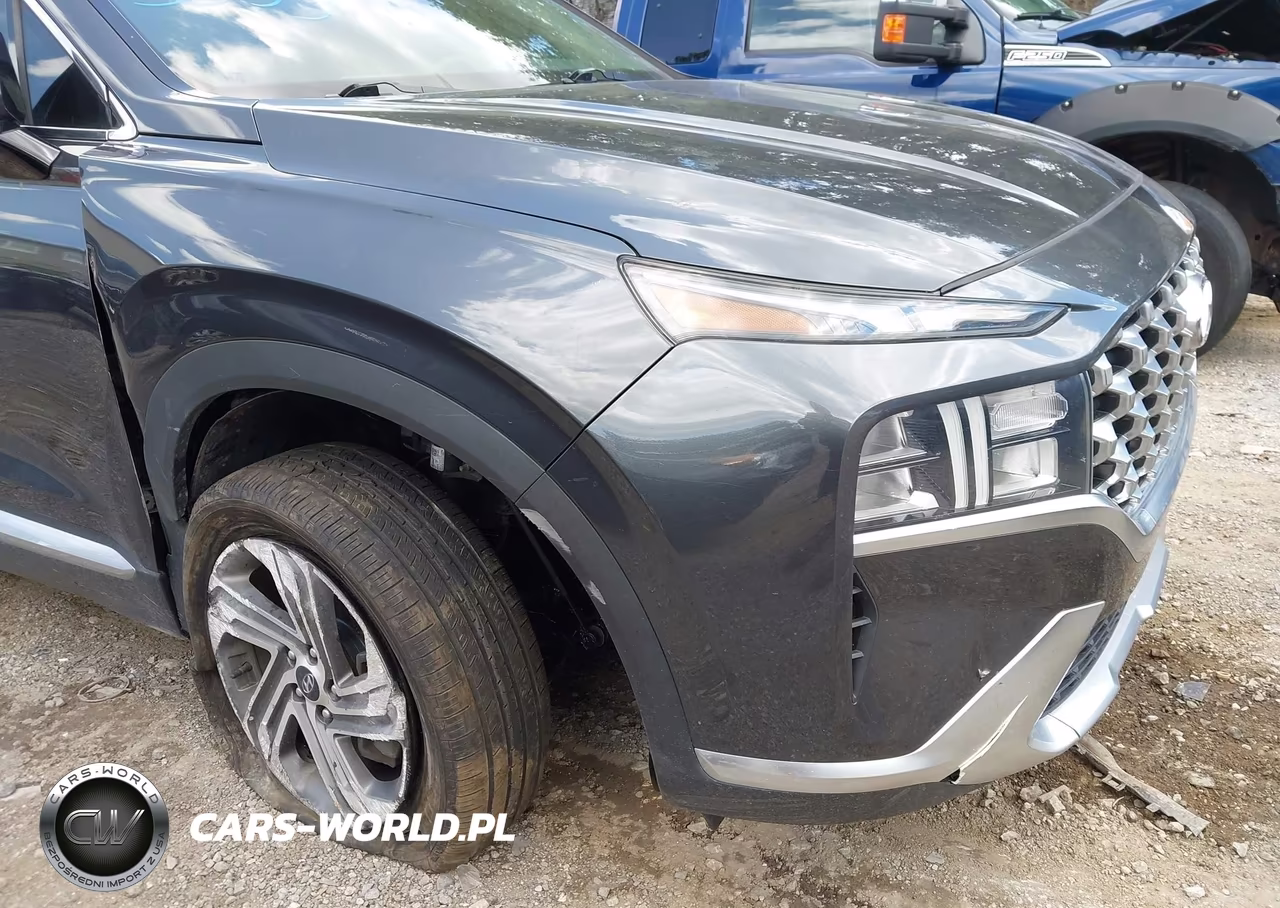 2022 Hyundai Santa Fe Sel VIN:5NMS3DAJ2NH396471 - 20