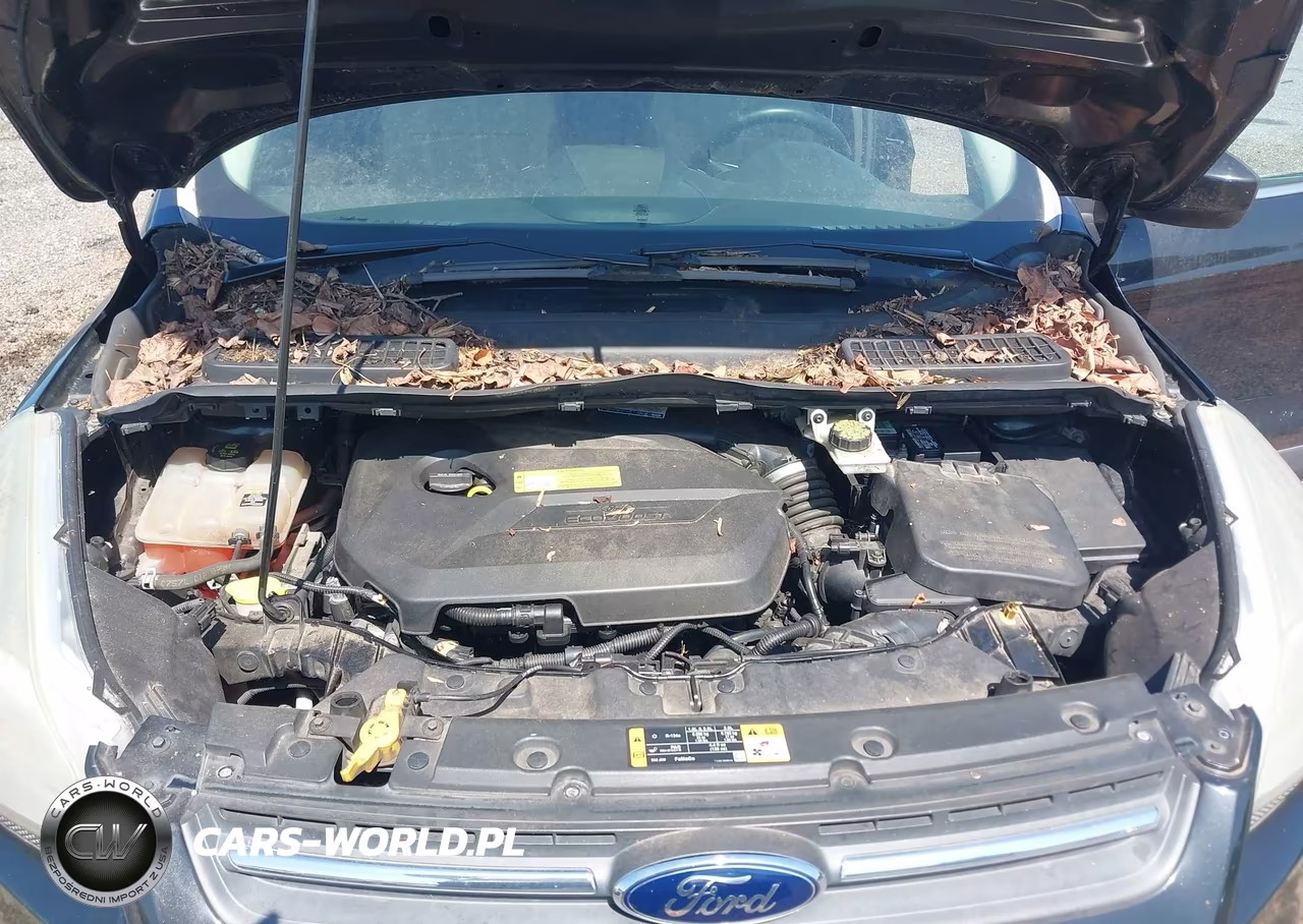 2013 Ford Escape Se VIN:1FMCU9GX0DUC57338 - 10