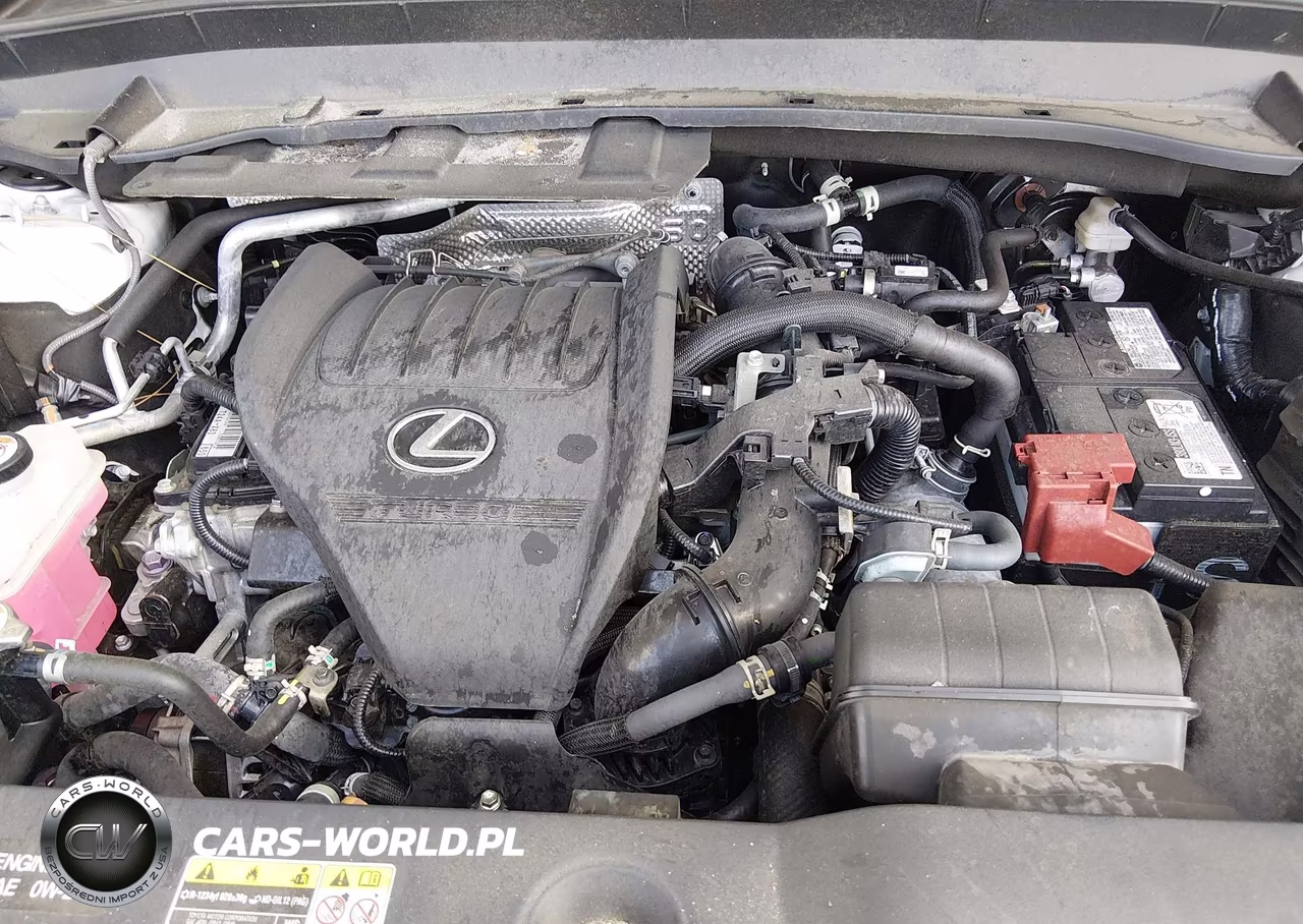 2024 Lexus Tx 350 Luxury VIN:5TDAAAA61RS002487 - 10