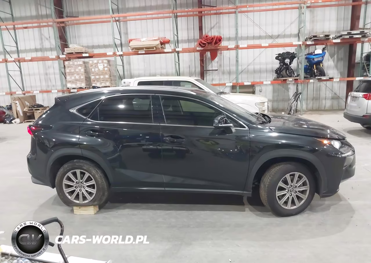 2020 Lexus Nx 300 VIN:JTJAARBZ5L2167767 - 13