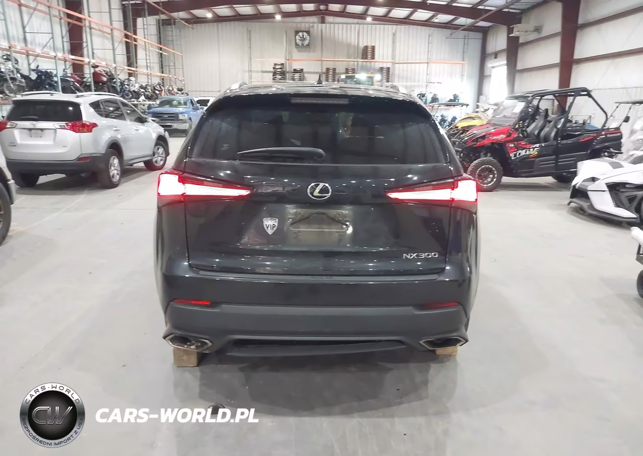 2020 Lexus Nx 300 VIN:JTJAARBZ5L2167767 - 16