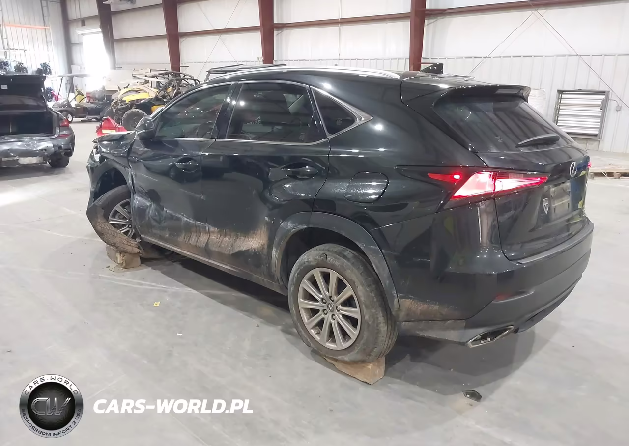 2020 Lexus Nx 300 VIN:JTJAARBZ5L2167767 - 3