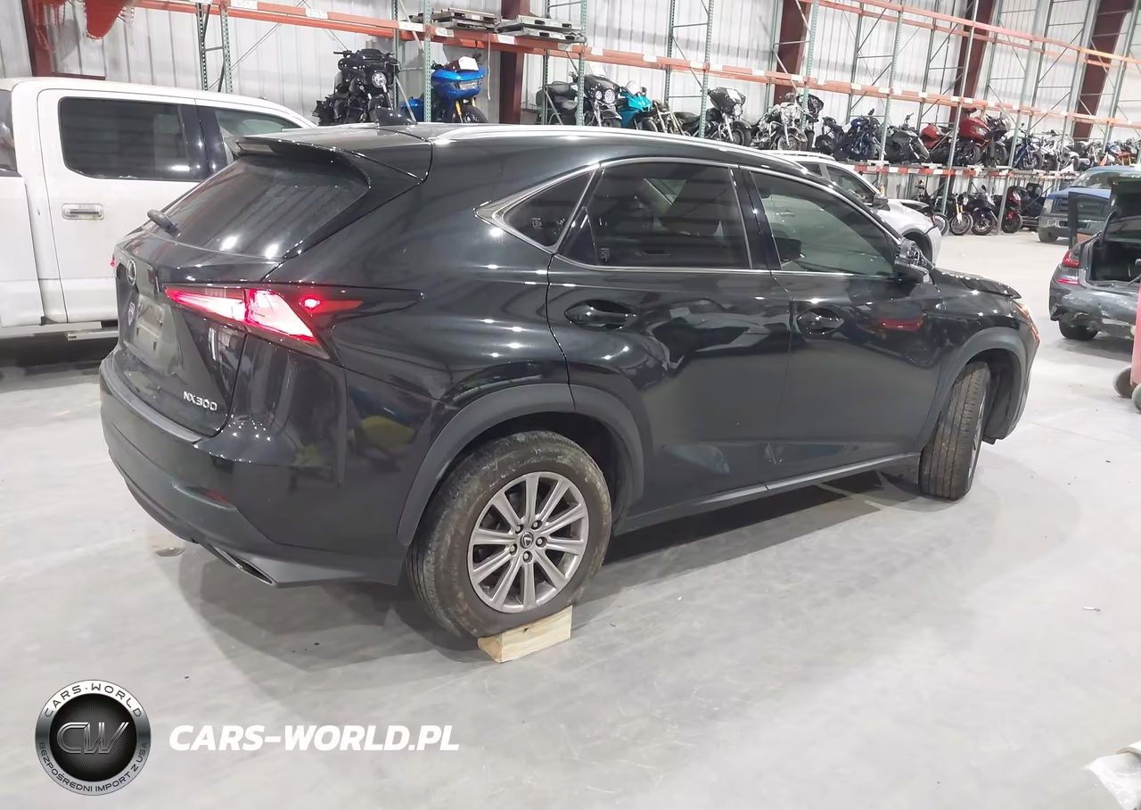2020 Lexus Nx 300 VIN:JTJAARBZ5L2167767 - 4