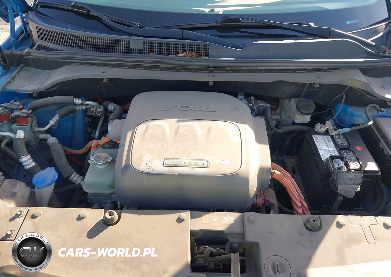 2016 Kia Soul Ev VIN:KNDJP3AE4G7017719 - 10