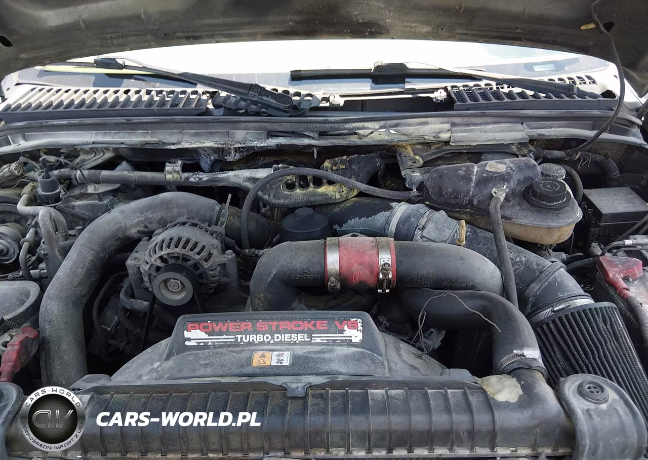 2005 Ford F-350 Lariat-Xl-Xlt VIN:1FTWX31P25EA66918 - 10