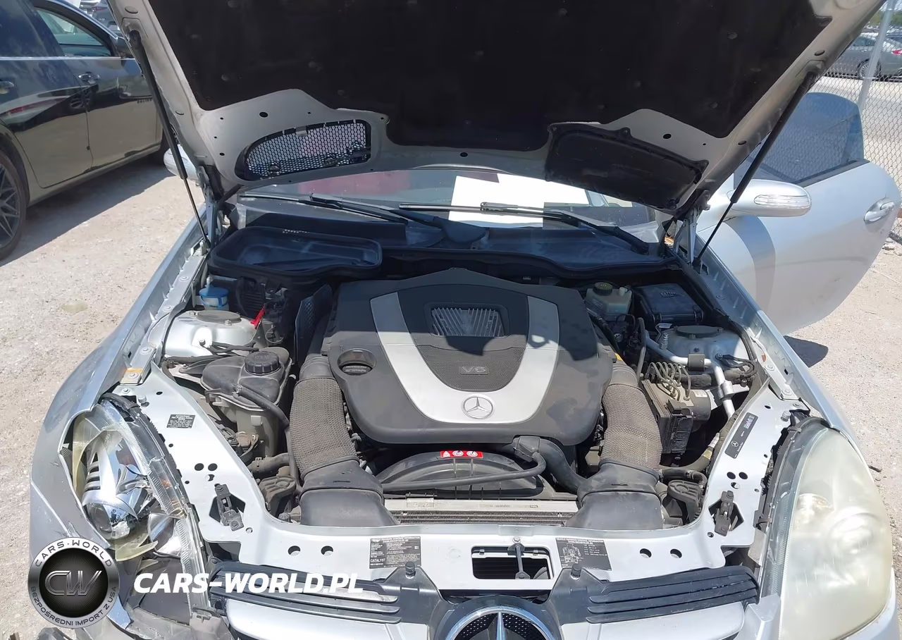 2005 Mercedes-Benz Slk 350 VIN:WDBWK56F25F023019 - 10
