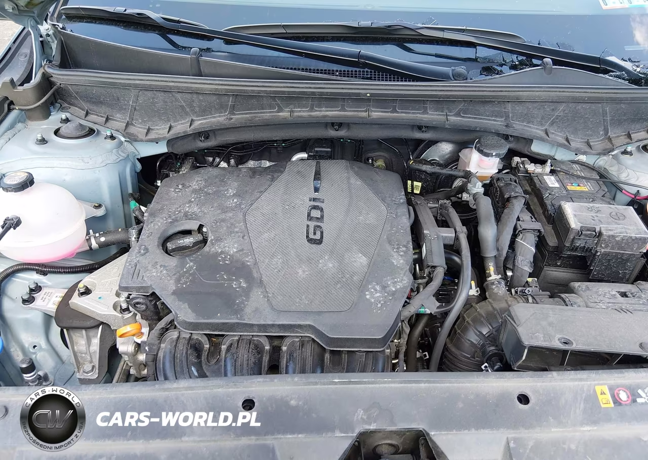 2024 Hyundai Santa Cruz Sel VIN:5NTJBDDE8RH120559 - 10