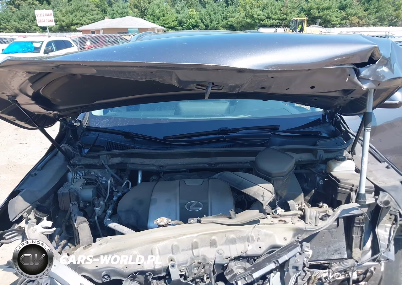 2019 Lexus Rx 350 VIN:2T2BZMCA6KC172659 - 10