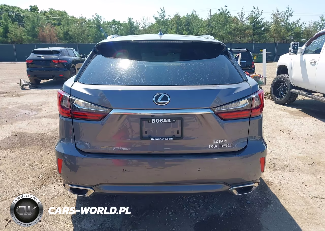 2019 Lexus Rx 350 VIN:2T2BZMCA6KC172659 - 17