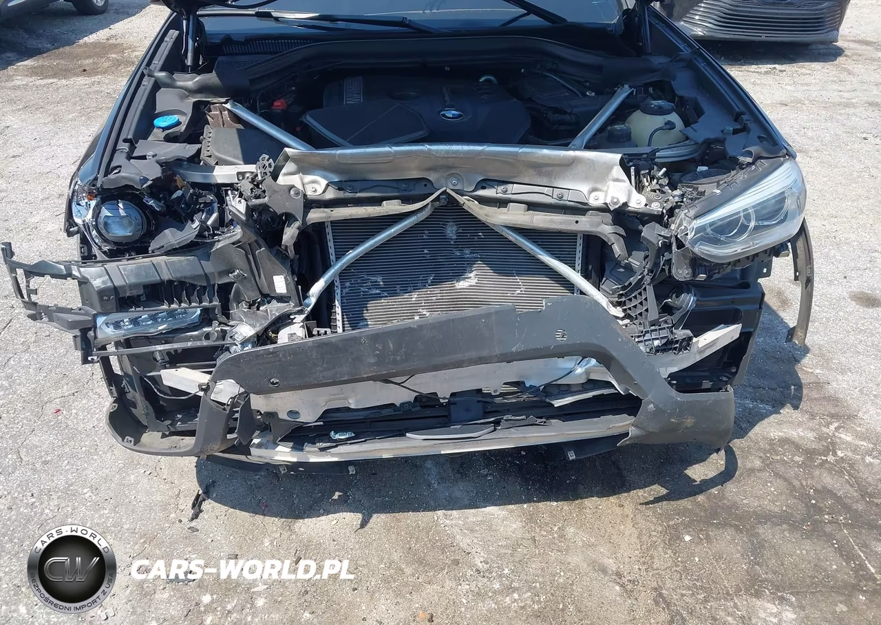 2018 BMW X3 xDrive30I VIN:5UXTR9C54JLD61134 - 10