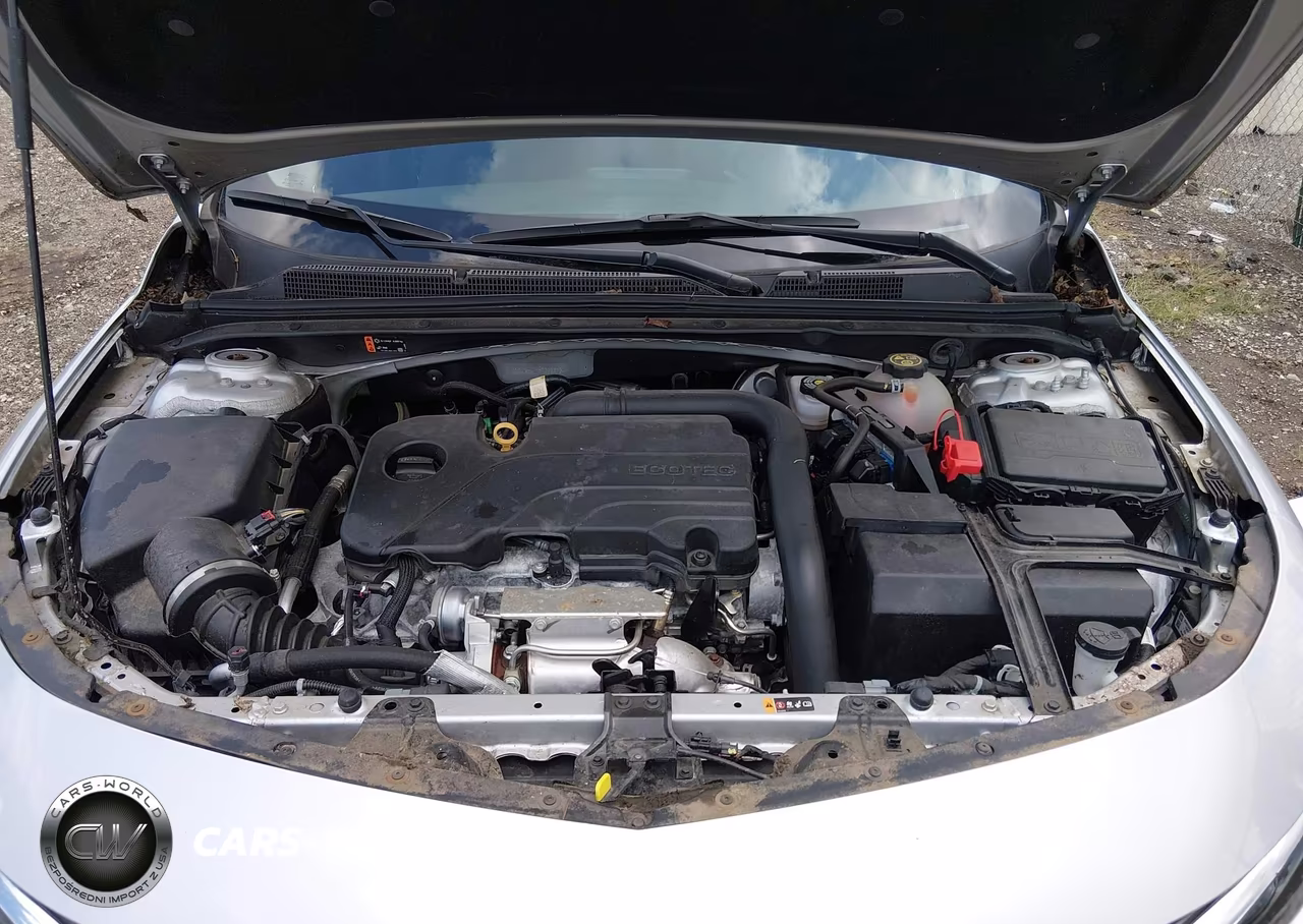 2019 Chevrolet Malibu Lt VIN:1G1ZD5STXKF202272 - 10