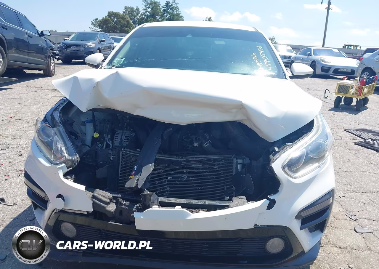 2020 Kia Forte Lxs VIN:3KPF24AD8LE141276 - 12