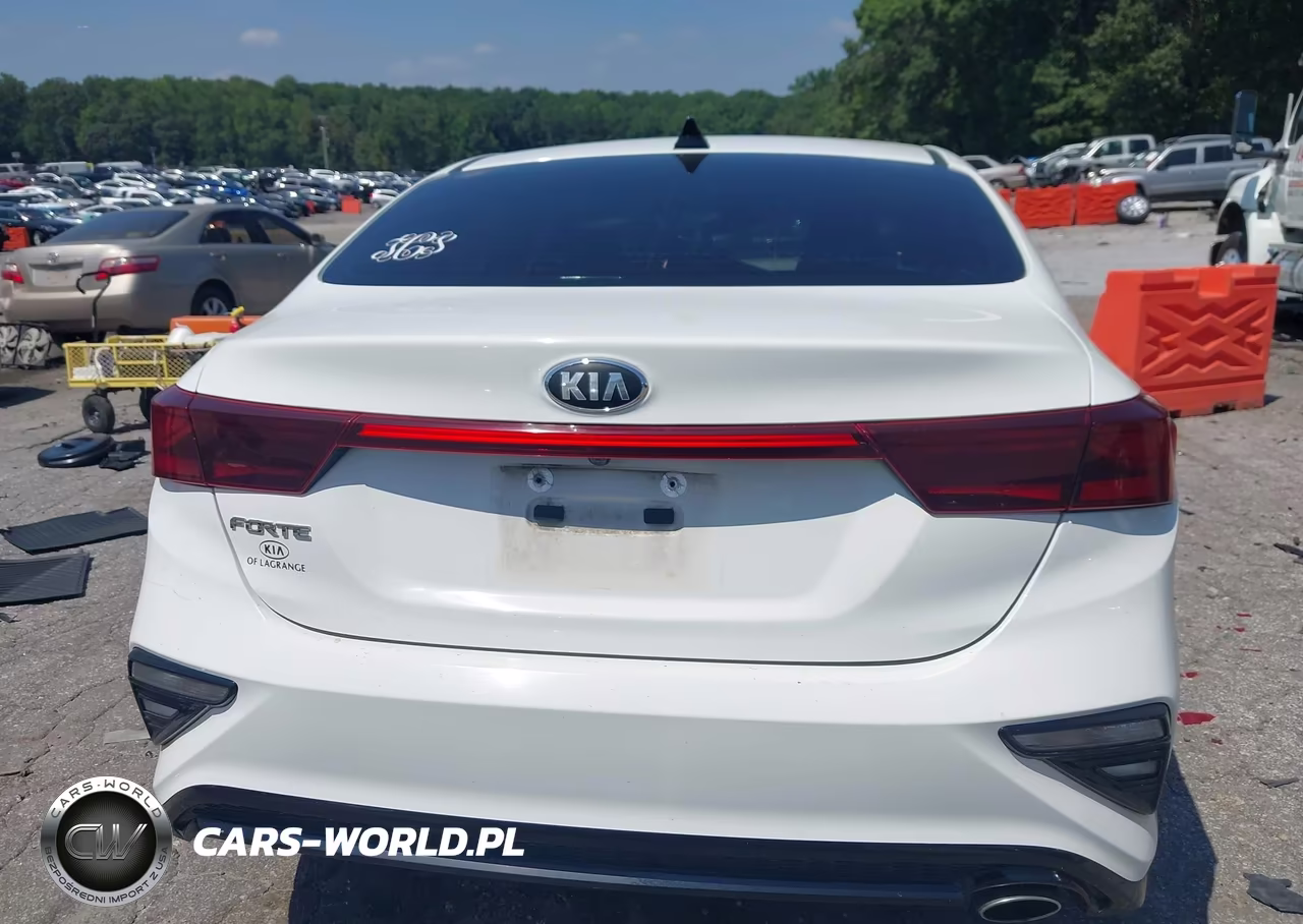 2020 Kia Forte Lxs VIN:3KPF24AD8LE141276 - 16