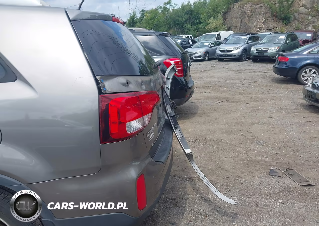 2014 Kia Sorento Lx VIN:5XYKT4A60EG493724 - 13