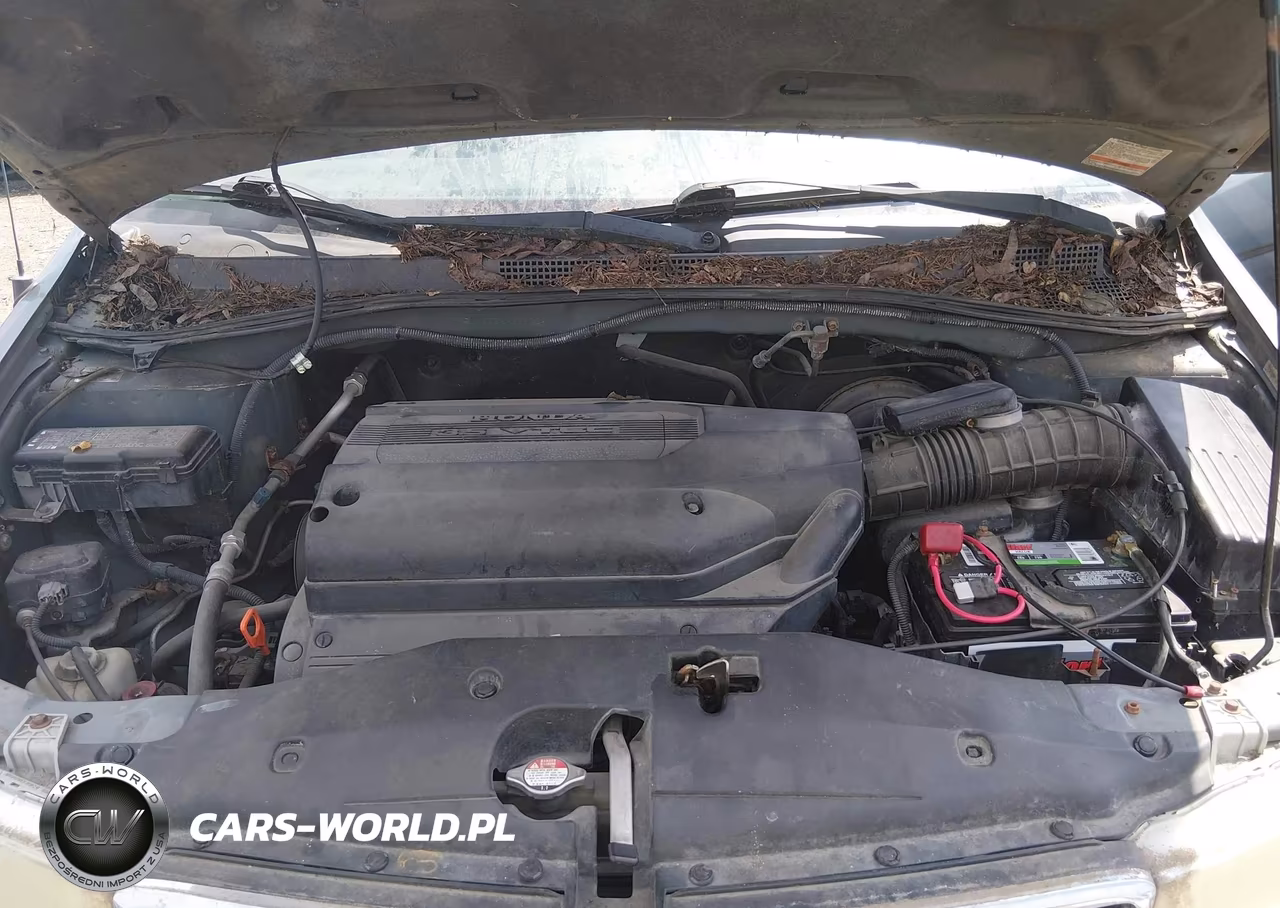 2002 Honda Odyssey Lx VIN:2HKRL18552H560364 - 10
