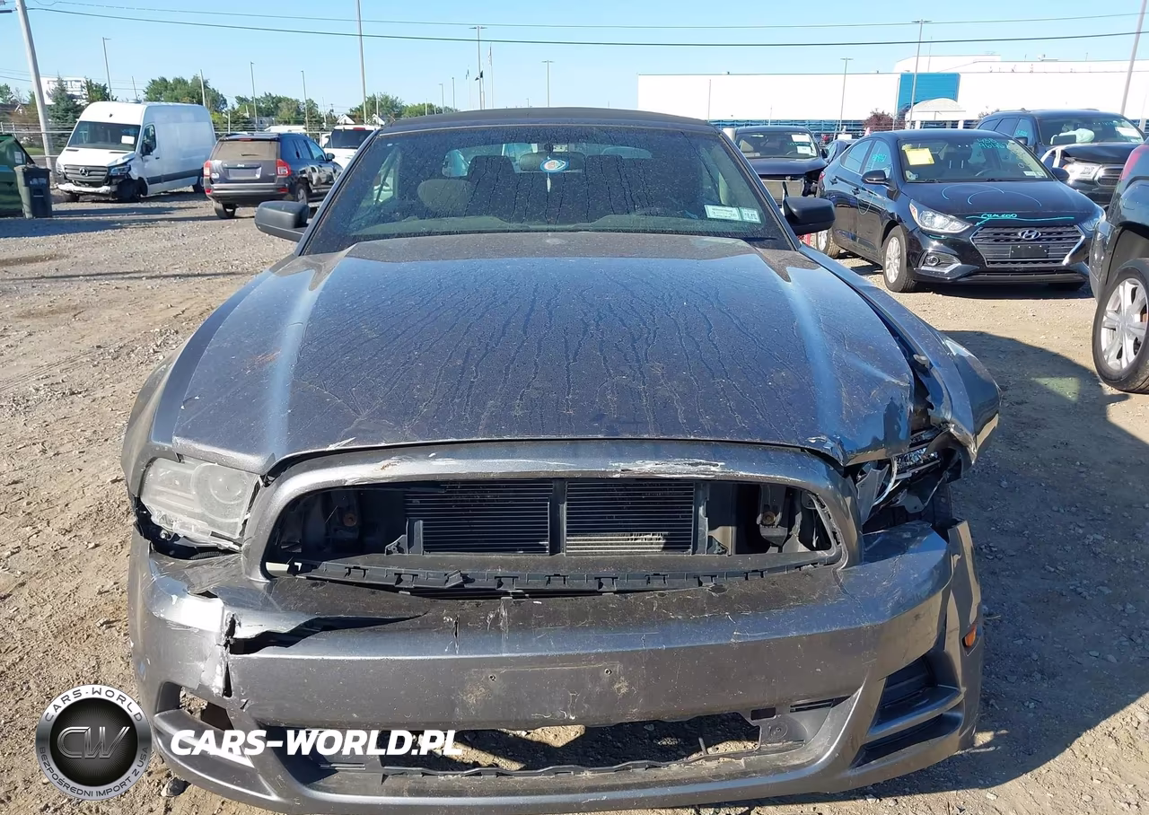 2013 Ford Mustang V6 VIN:1ZVBP8EM4D5242035 - 13