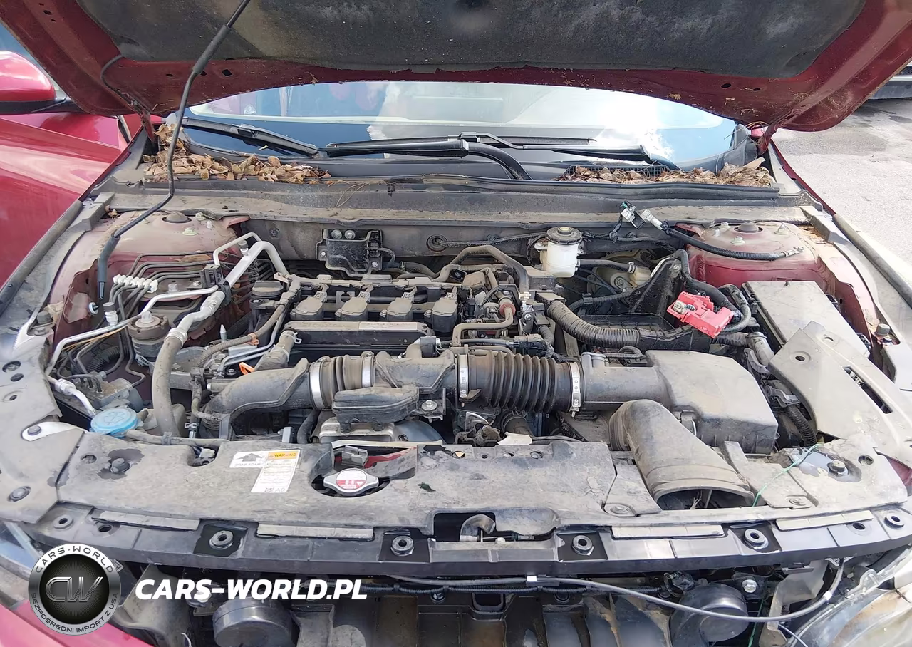2020 Honda Accord Ex VIN:1HGCV1F45LA024079 - 10