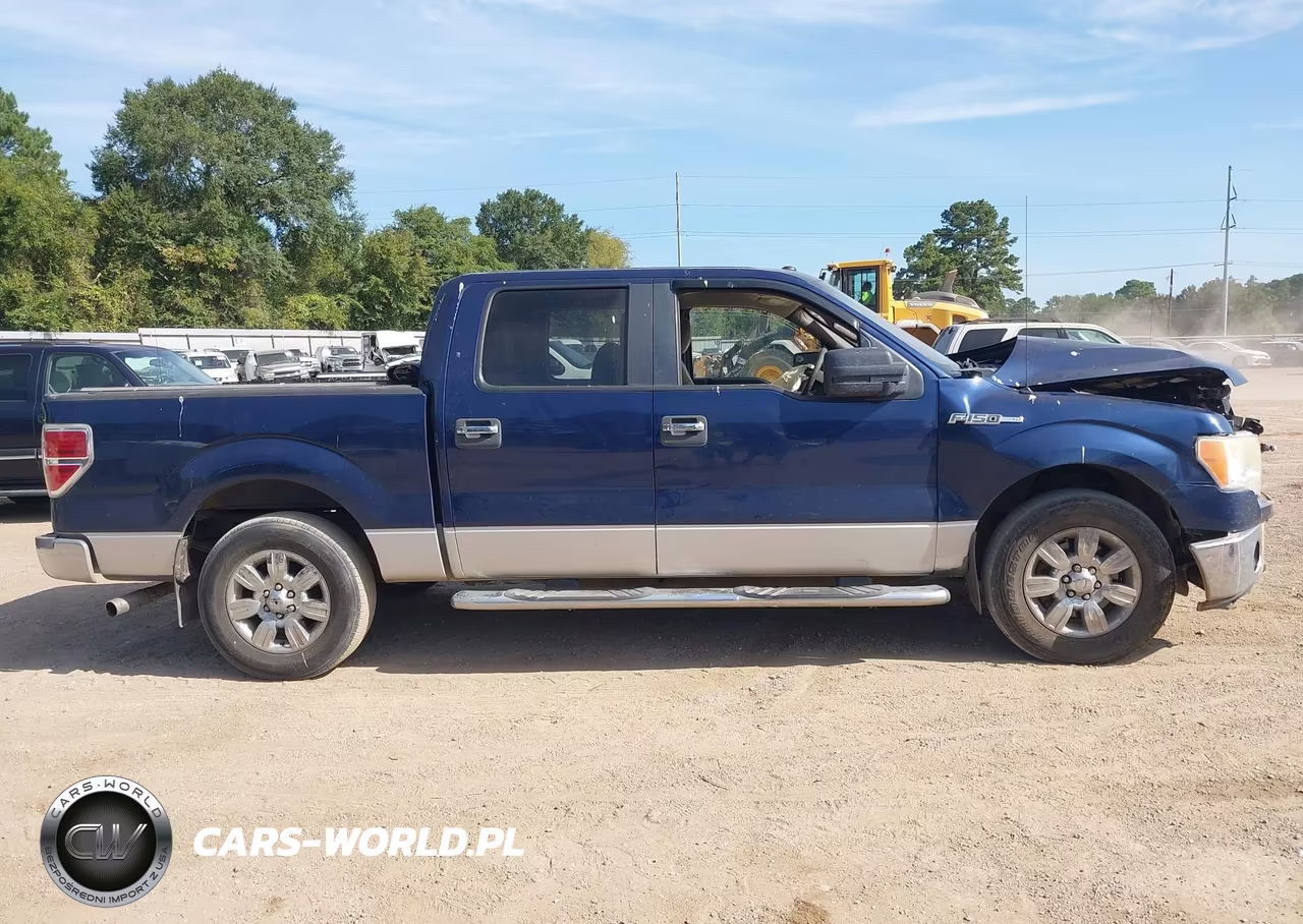 2010 Ford F-150 Xlt VIN:1FTEW1C86AFB23120 - 13