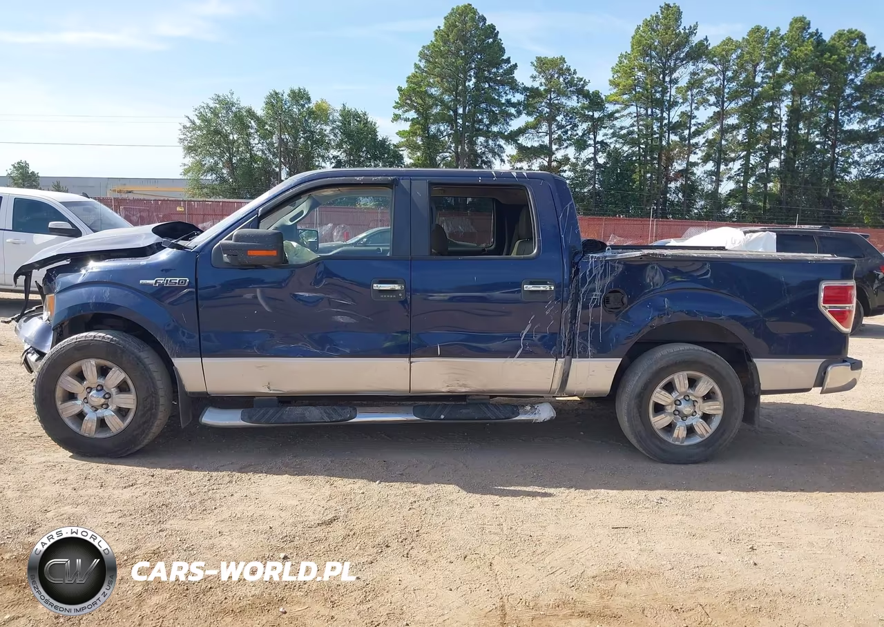 2010 Ford F-150 Xlt VIN:1FTEW1C86AFB23120 - 14