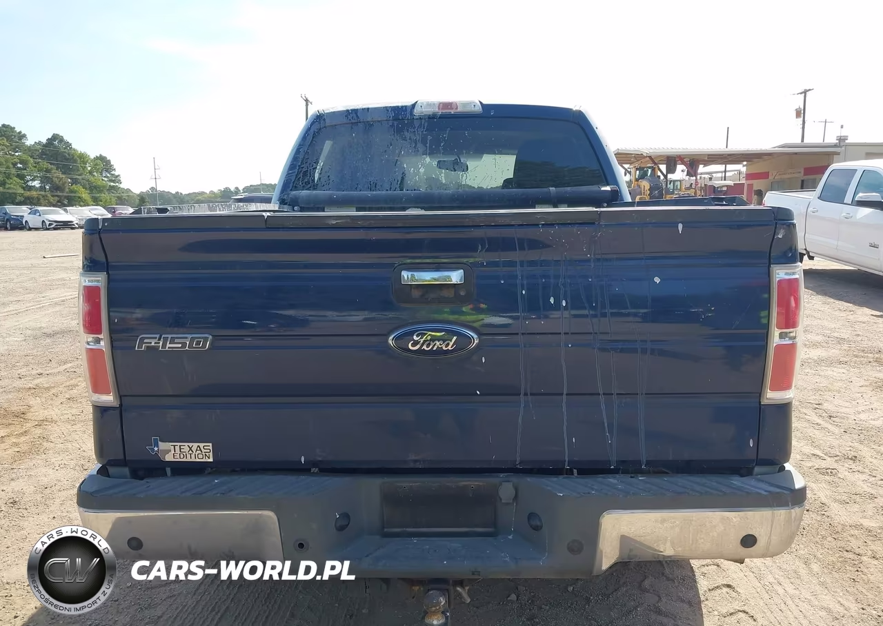 2010 Ford F-150 Xlt VIN:1FTEW1C86AFB23120 - 16