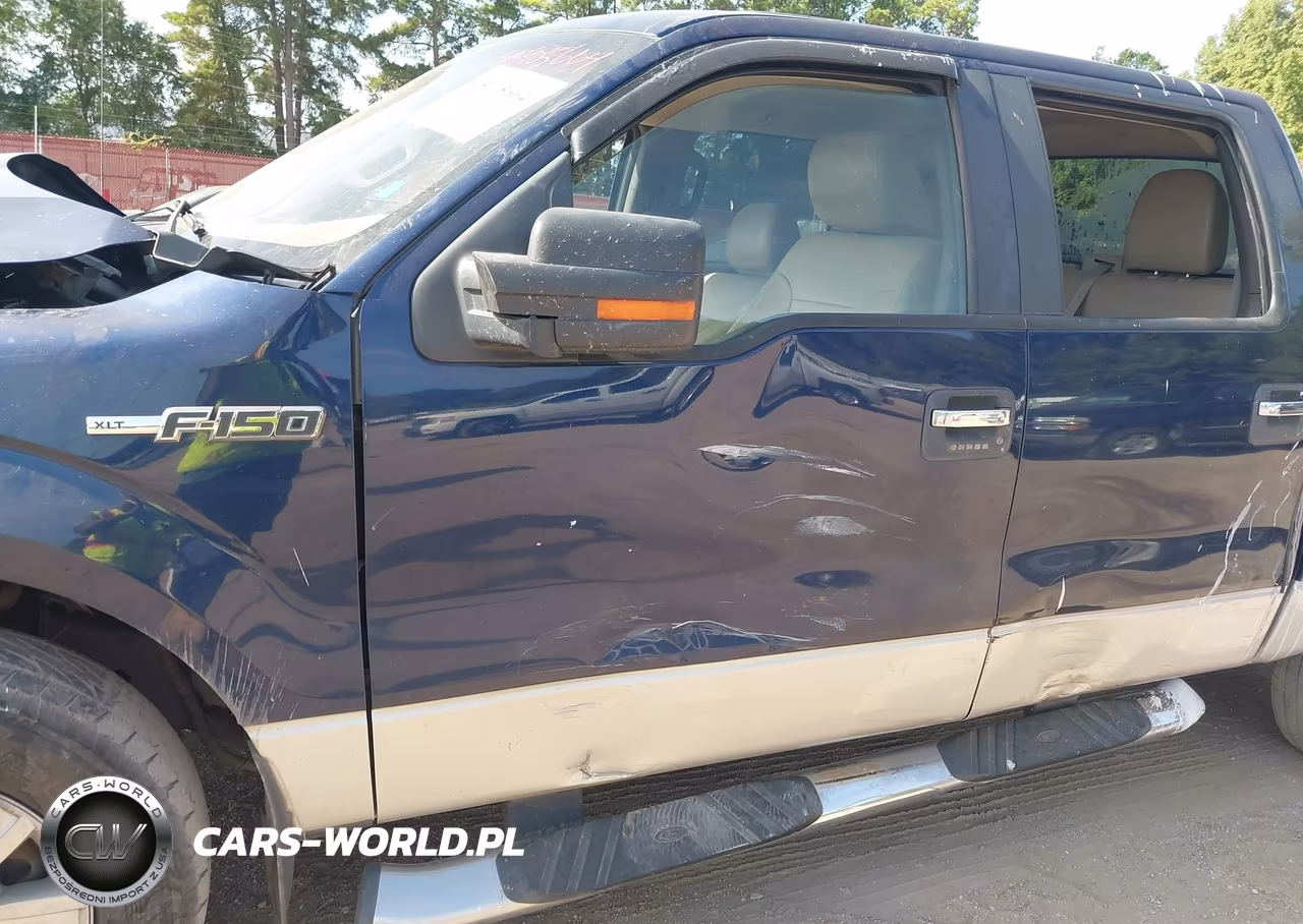 2010 Ford F-150 Xlt VIN:1FTEW1C86AFB23120 - 17
