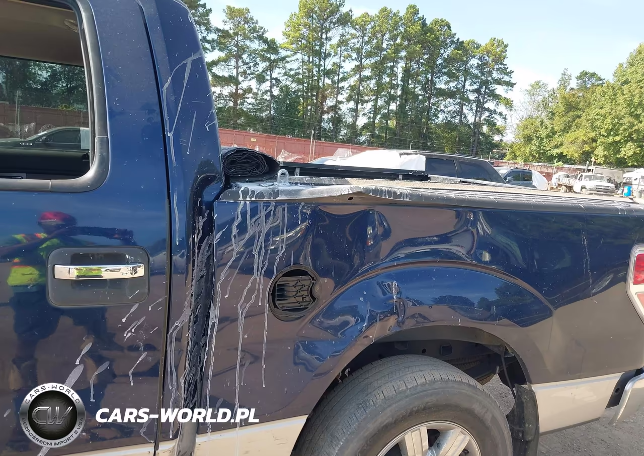 2010 Ford F-150 Xlt VIN:1FTEW1C86AFB23120 - 18