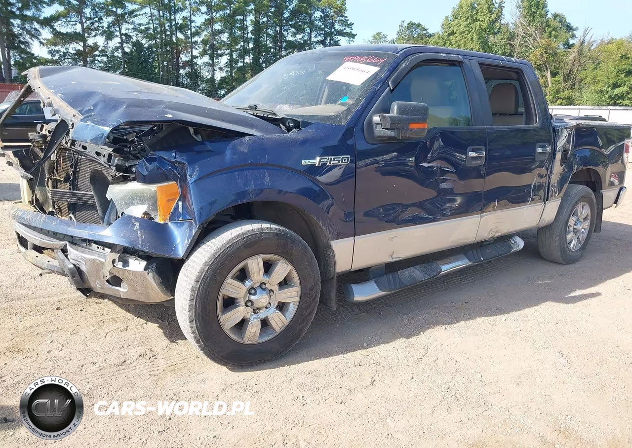2010 Ford F-150 Xlt VIN:1FTEW1C86AFB23120 - 2