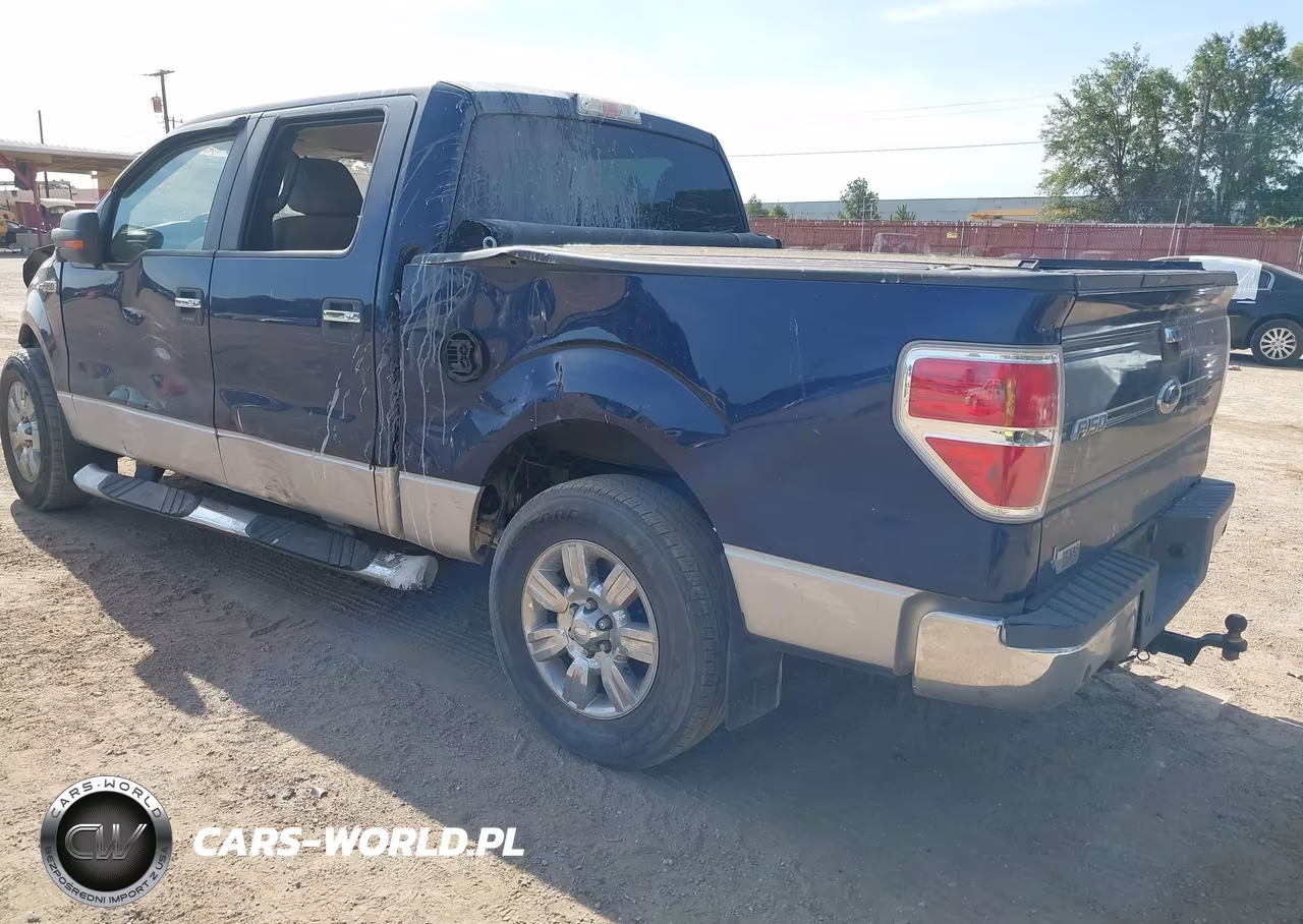 2010 Ford F-150 Xlt VIN:1FTEW1C86AFB23120 - 3