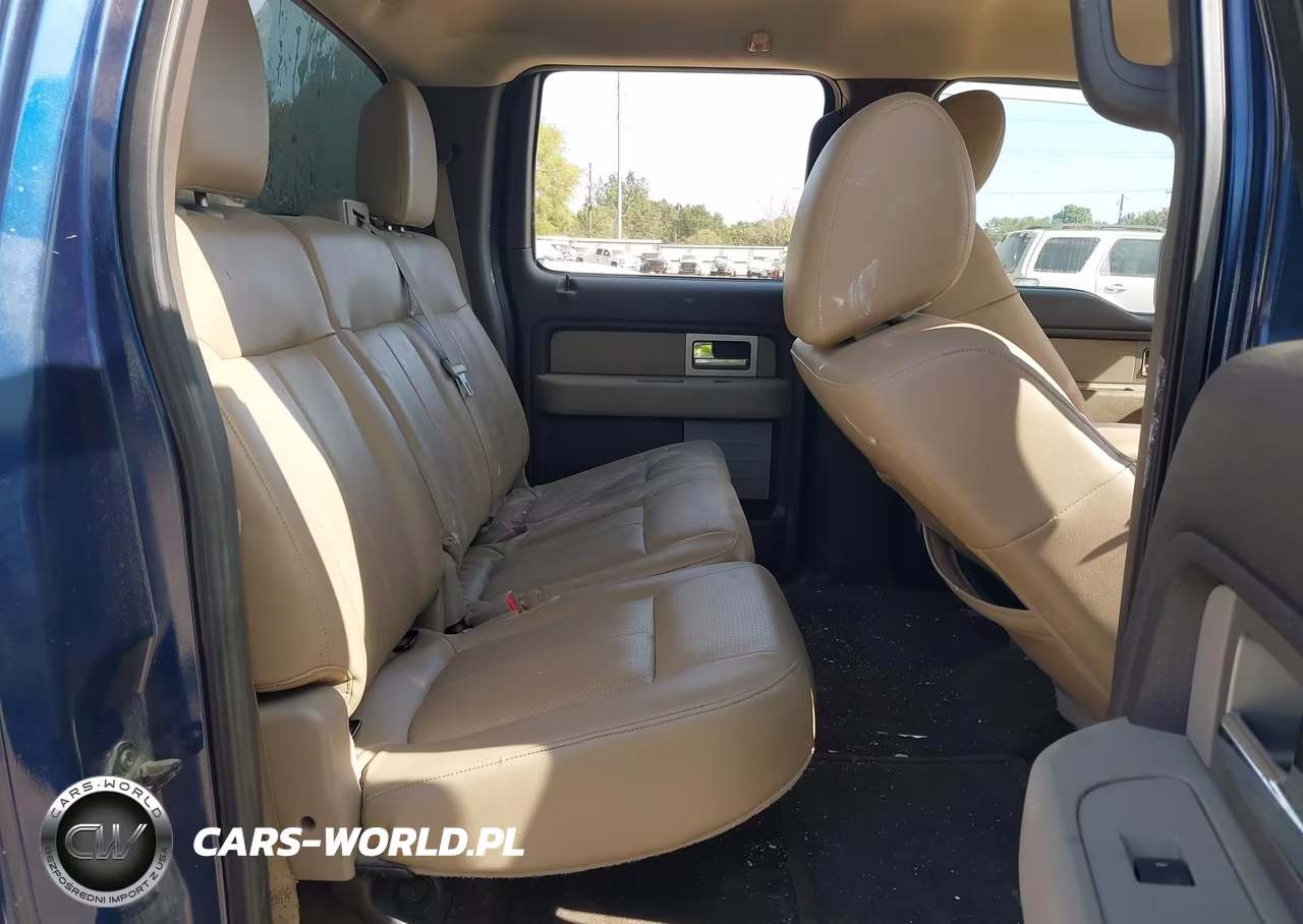 2010 Ford F-150 Xlt VIN:1FTEW1C86AFB23120 - 8