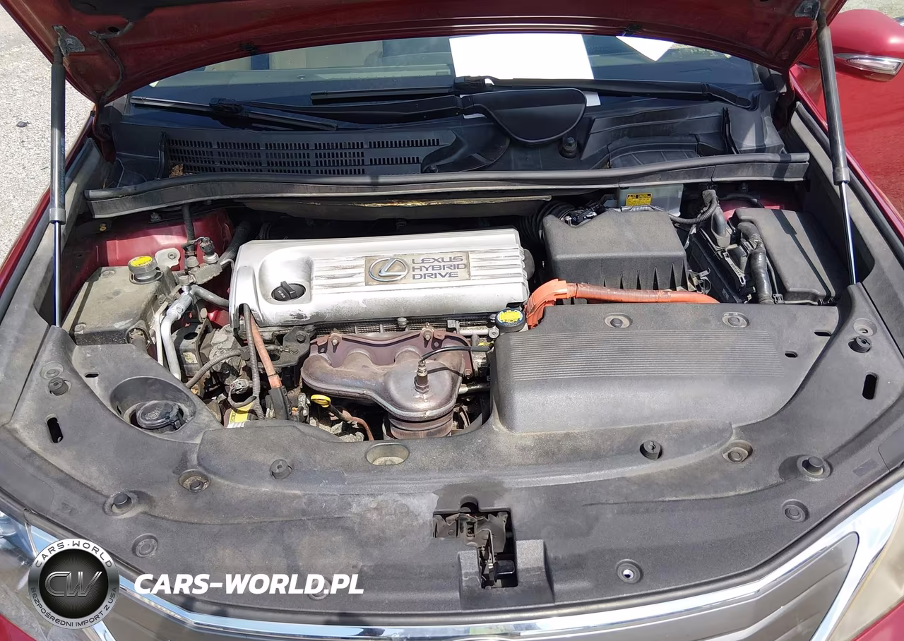 2010 Lexus Hs 250H Premium VIN:JTHBB1BA2A2017420 - 10