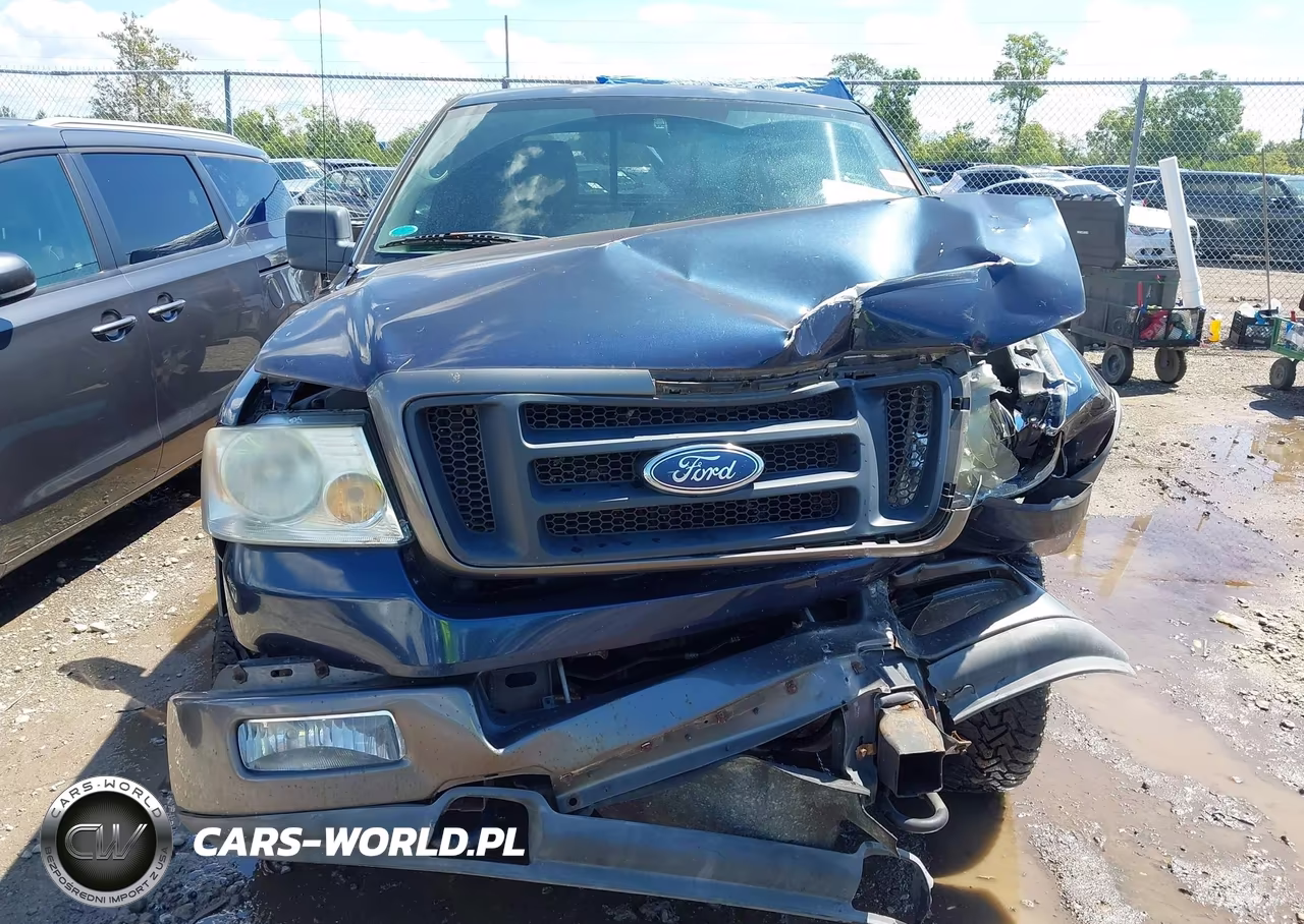 2004 Ford F-150 Fx4-Lariat-Xl-Xlt VIN:1FTPX145X4FA43446 - 12