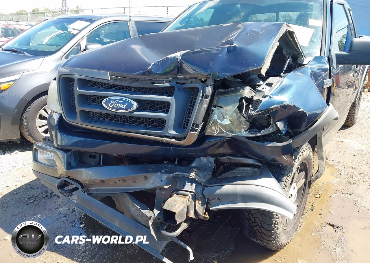 2004 Ford F-150 Fx4-Lariat-Xl-Xlt VIN:1FTPX145X4FA43446 - 6