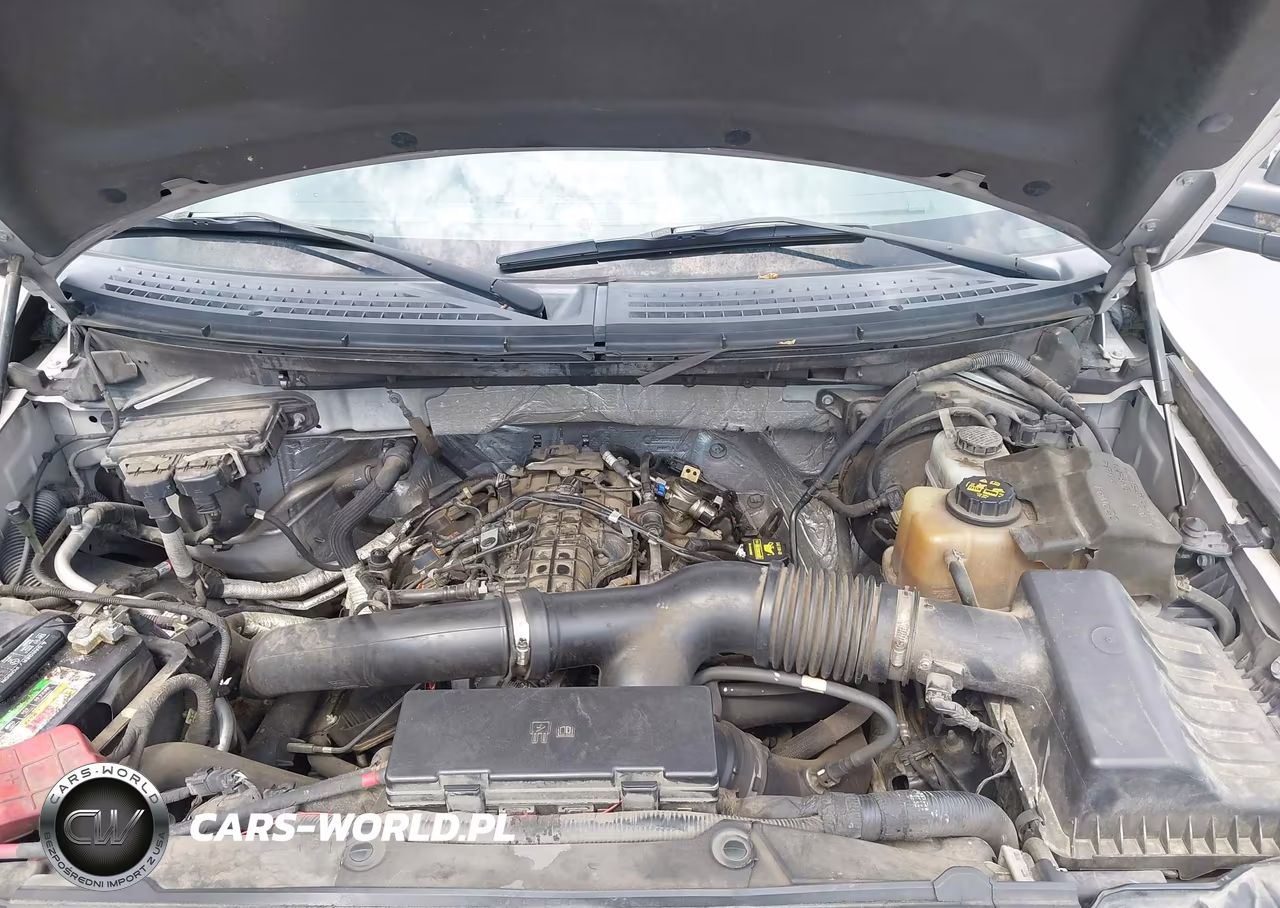 2011 Ford F-150 Xlt VIN:1FTFW1ET4BFB68483 - 10
