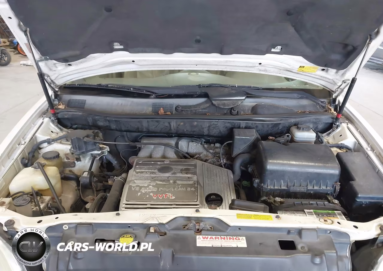 2002 Lexus Rx 300 VIN:JTJHF10U120292333 - 10