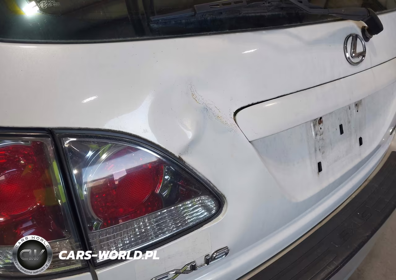 2002 Lexus Rx 300 VIN:JTJHF10U120292333 - 13