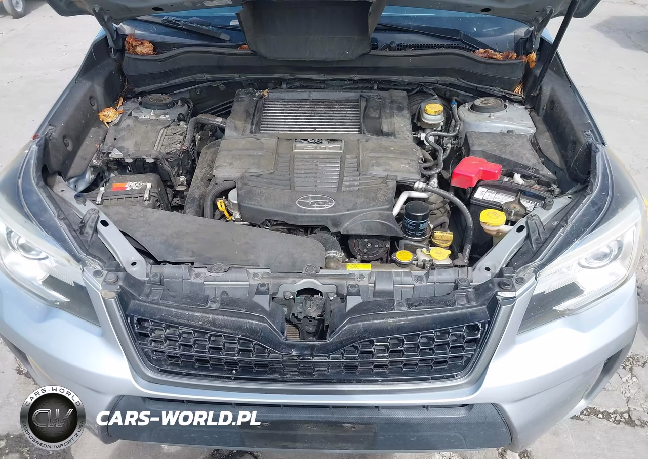 2017 Subaru Forester 2.0Xt Touring VIN:JF2SJGWC5HH430959 - 10