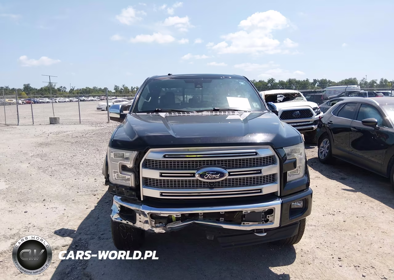 2017 Ford F-150 Platinum VIN:1FTEW1EF8HFC42700 - 12