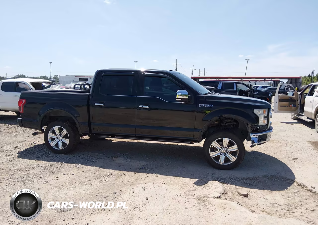 2017 Ford F-150 Platinum VIN:1FTEW1EF8HFC42700 - 13