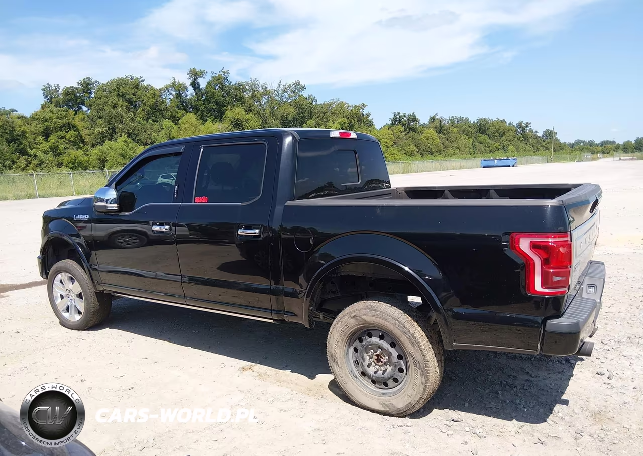 2017 Ford F-150 Platinum VIN:1FTEW1EF8HFC42700 - 14