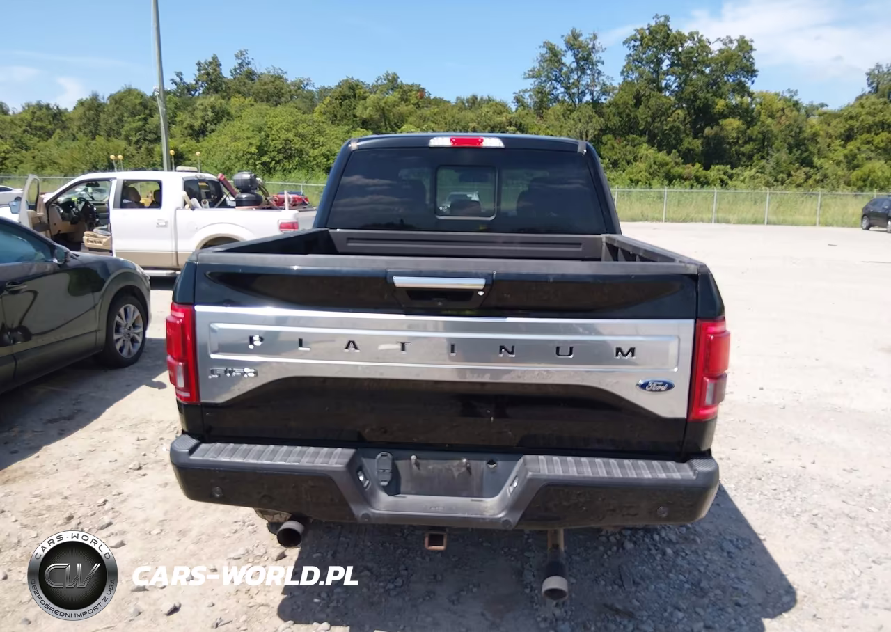 2017 Ford F-150 Platinum VIN:1FTEW1EF8HFC42700 - 16