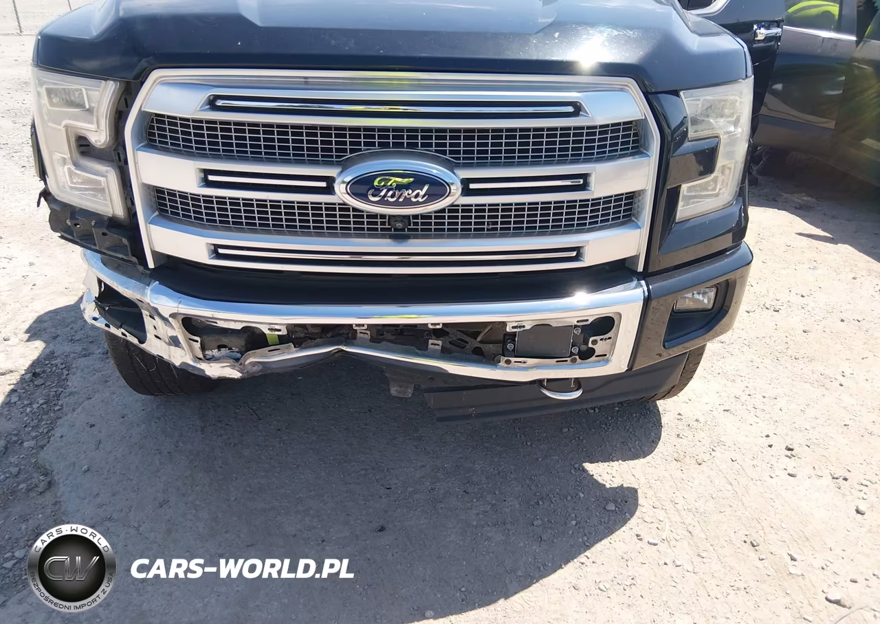 2017 Ford F-150 Platinum VIN:1FTEW1EF8HFC42700 - 17