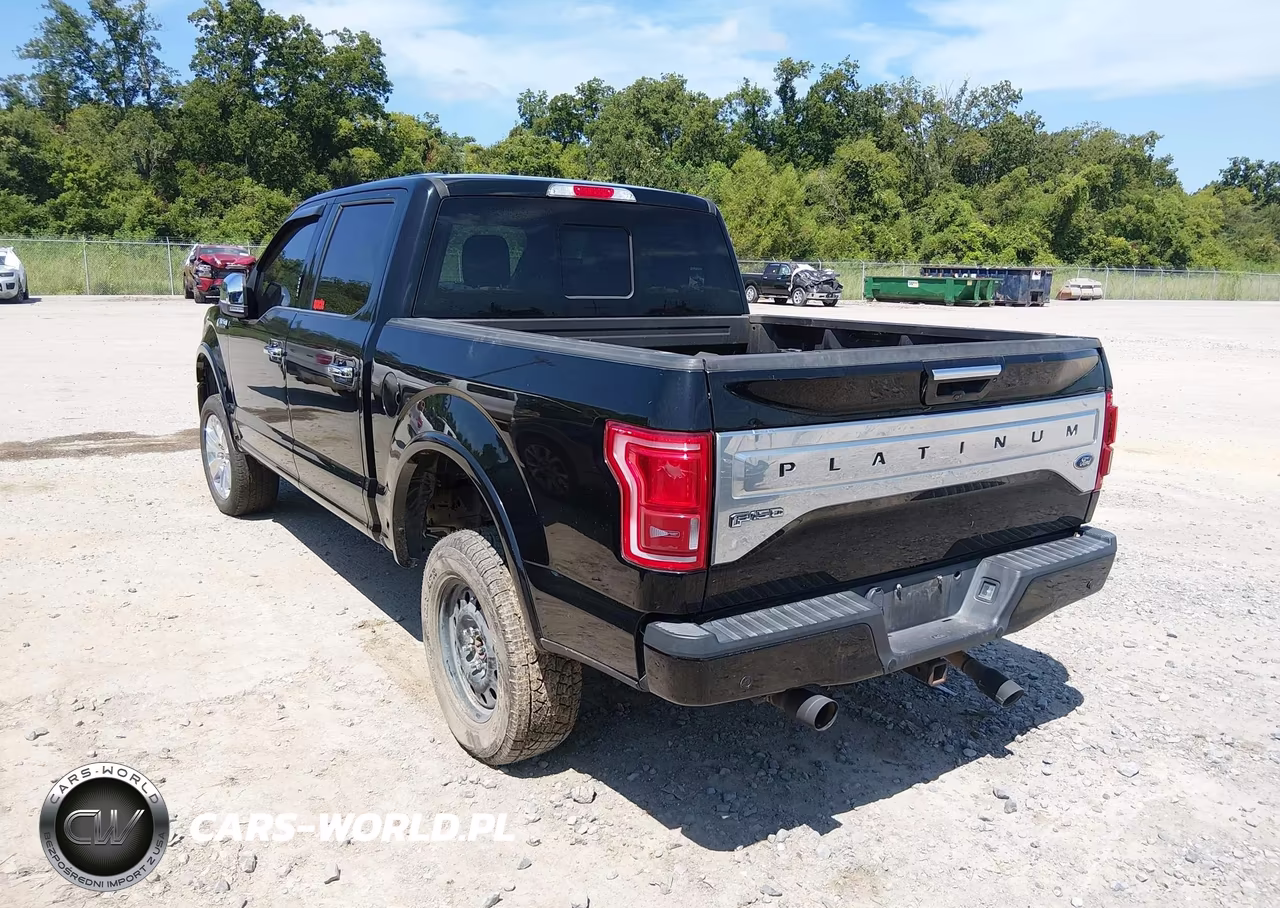 2017 Ford F-150 Platinum VIN:1FTEW1EF8HFC42700 - 3