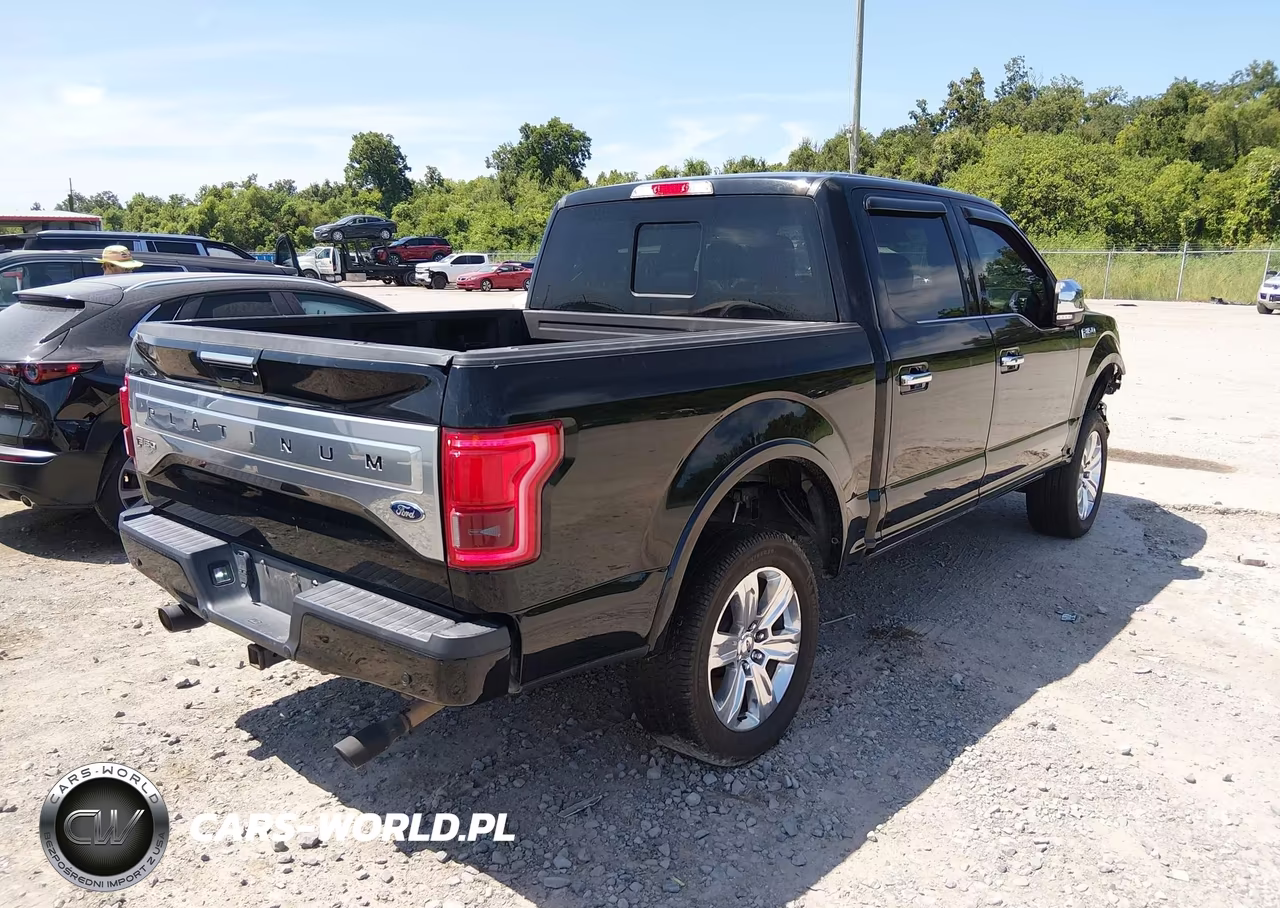2017 Ford F-150 Platinum VIN:1FTEW1EF8HFC42700 - 4