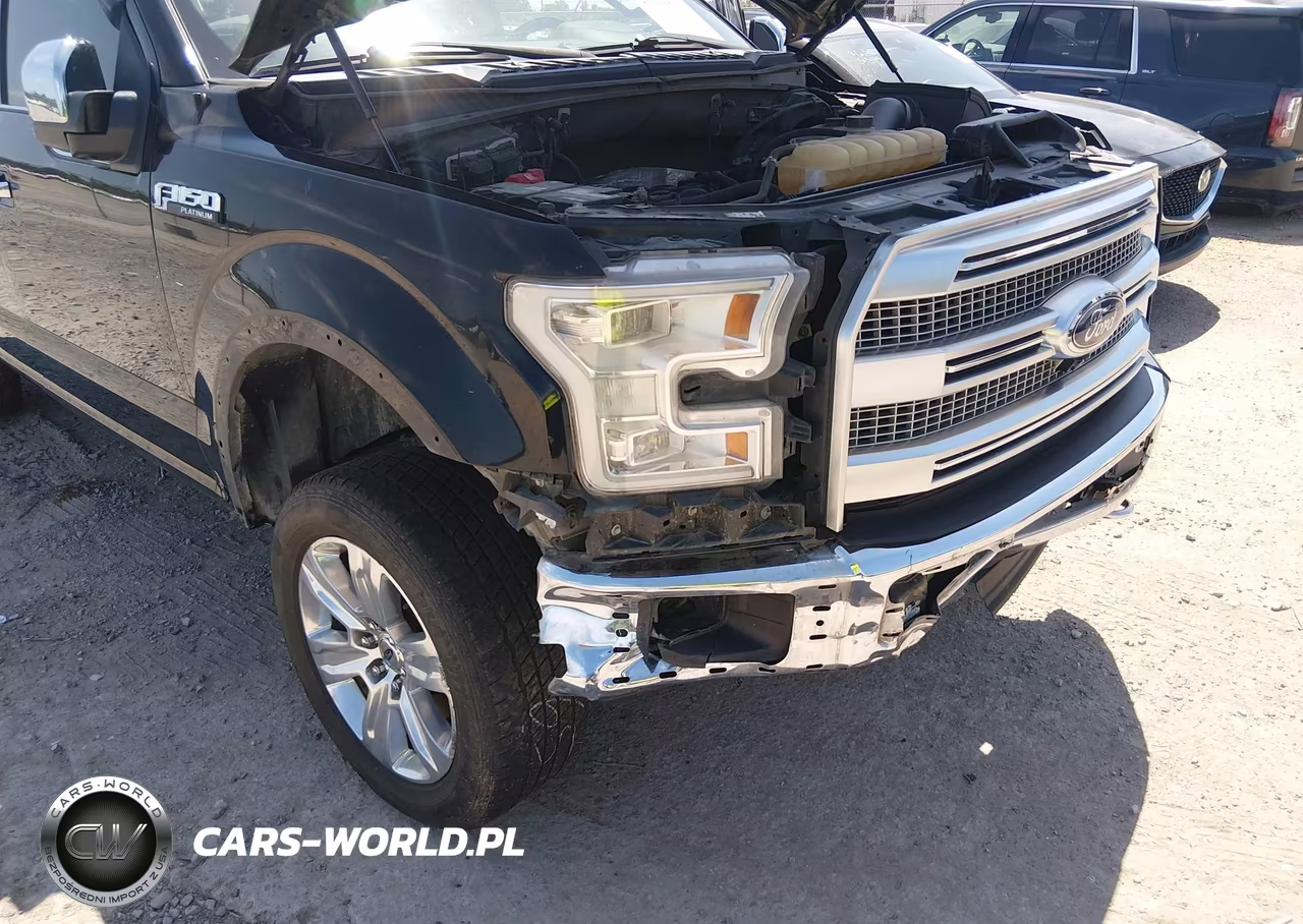 2017 Ford F-150 Platinum VIN:1FTEW1EF8HFC42700 - 6