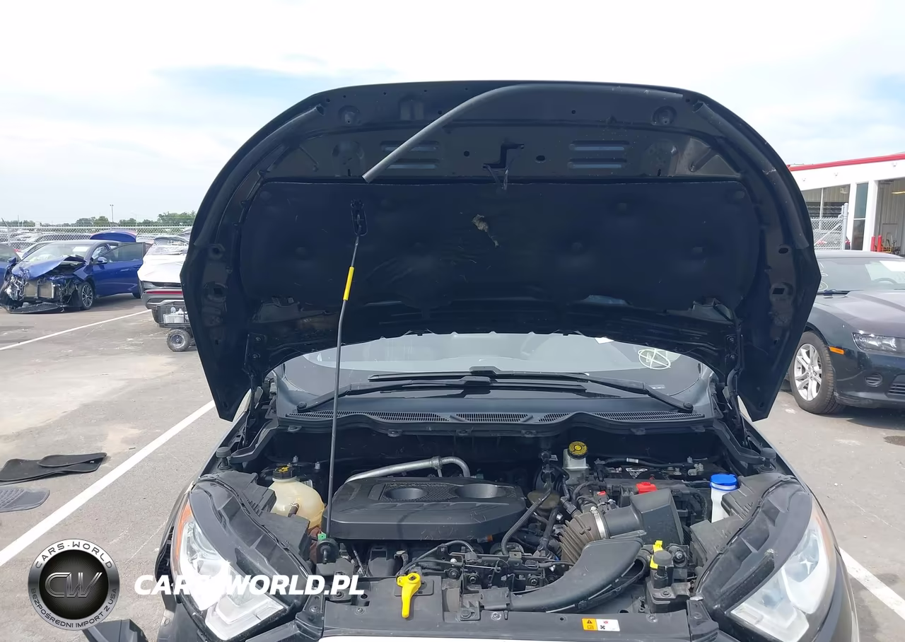 2019 Ford Ecosport Se VIN:MAJ6S3GLXKC297355 - 10