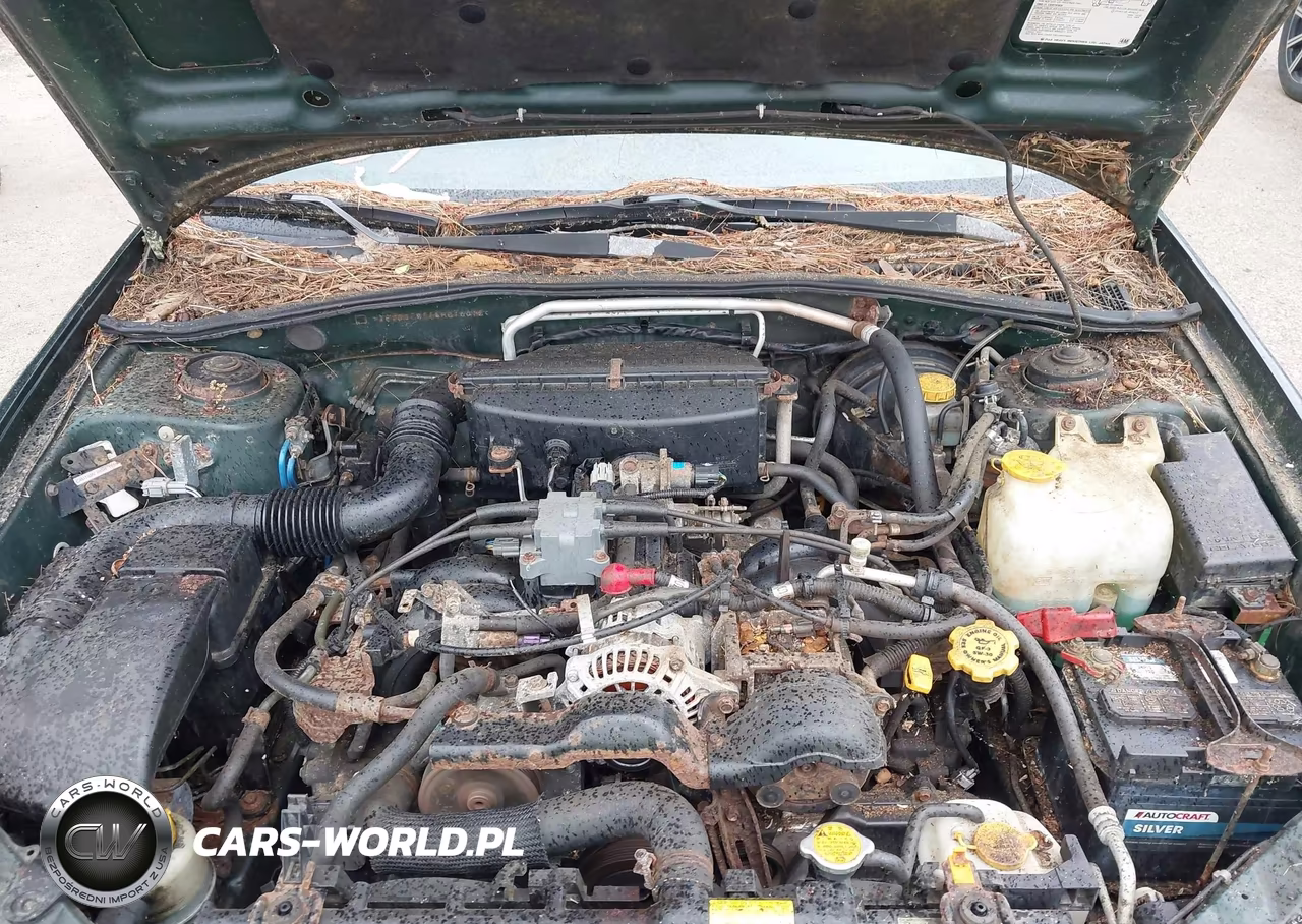 2004 Subaru Impreza Outback Sport VIN:JF1GG68564H816012 - 10
